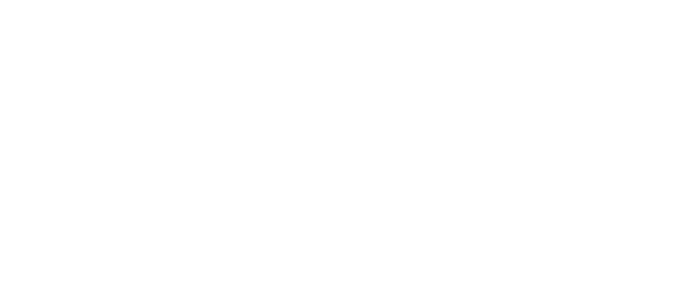 Cano Elizondo Seguros y Fianzas